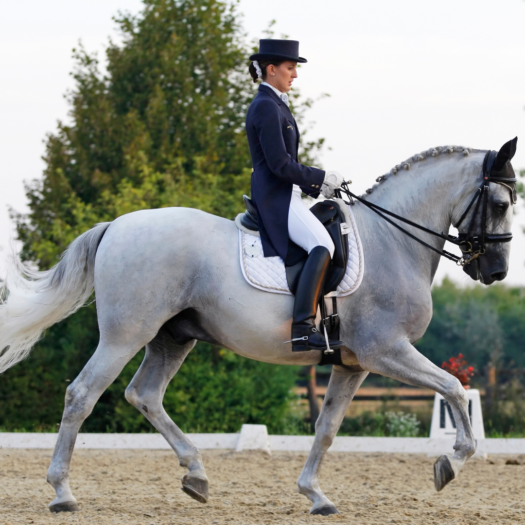 Digestive Health in Dressage Horses and the EquiNectar Solution