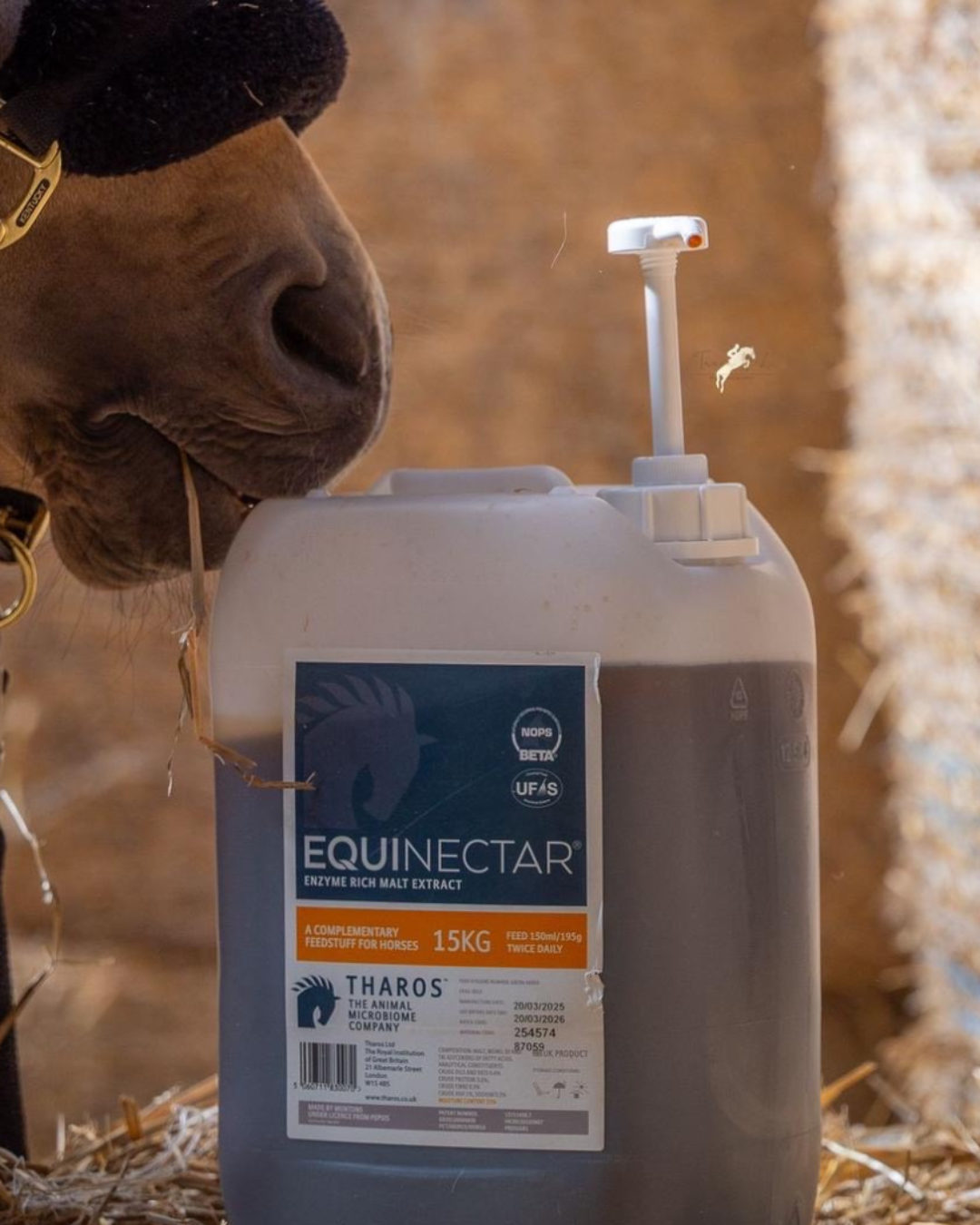 EquiNectar: Scientifically Proven Support for Horse Digestive Wellness