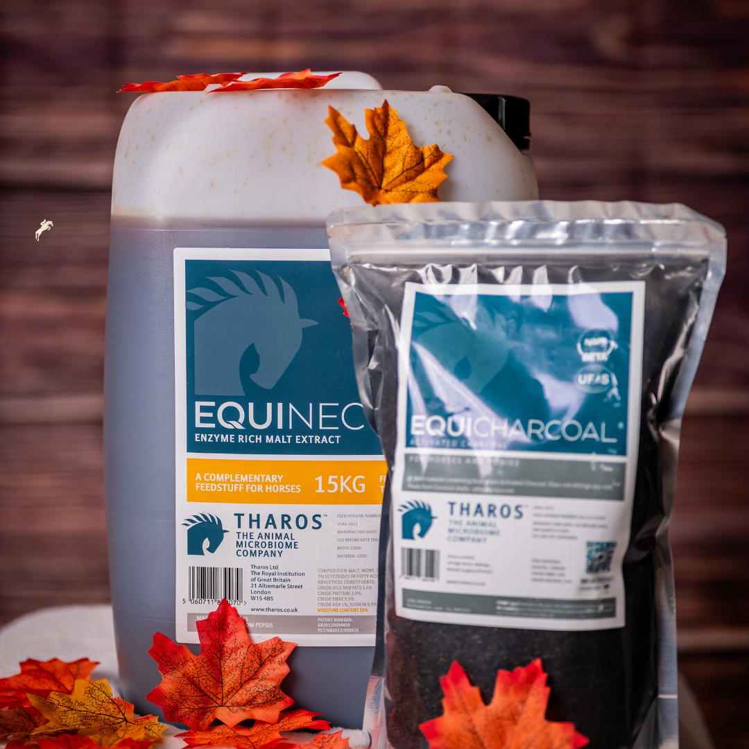 Understanding Mycotoxins and Their Impact on Horse Gut Health