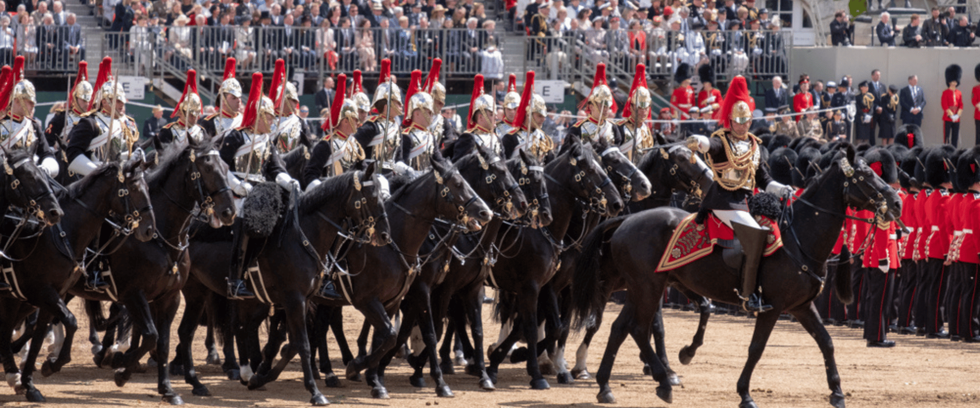 Household Cavalry - why EquiNectar is loved.png__PID:0a599a82-ea8a-443e-8473-1f07451403b5