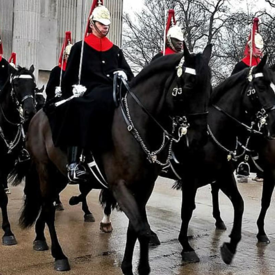 EquiNectar® Chosen by the Household Cavalry