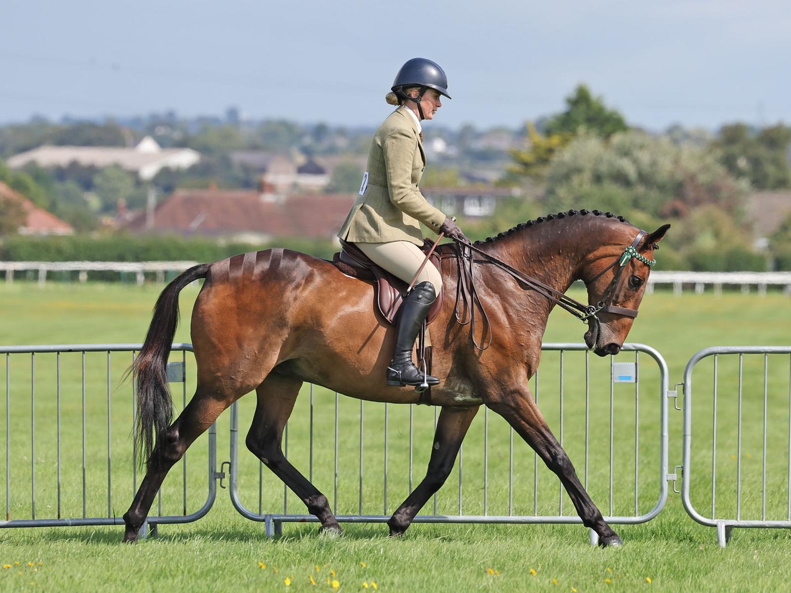 Pineau de Re: From Grand National Glory to a Peaceful Retirement