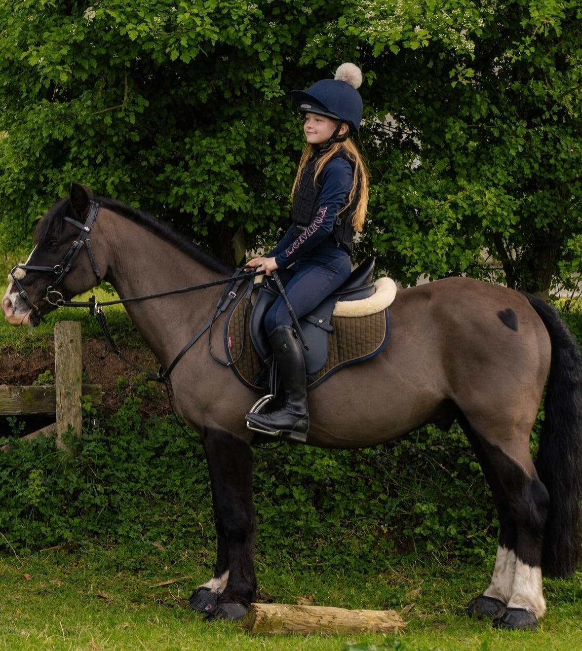 Horse of the week - RILEY