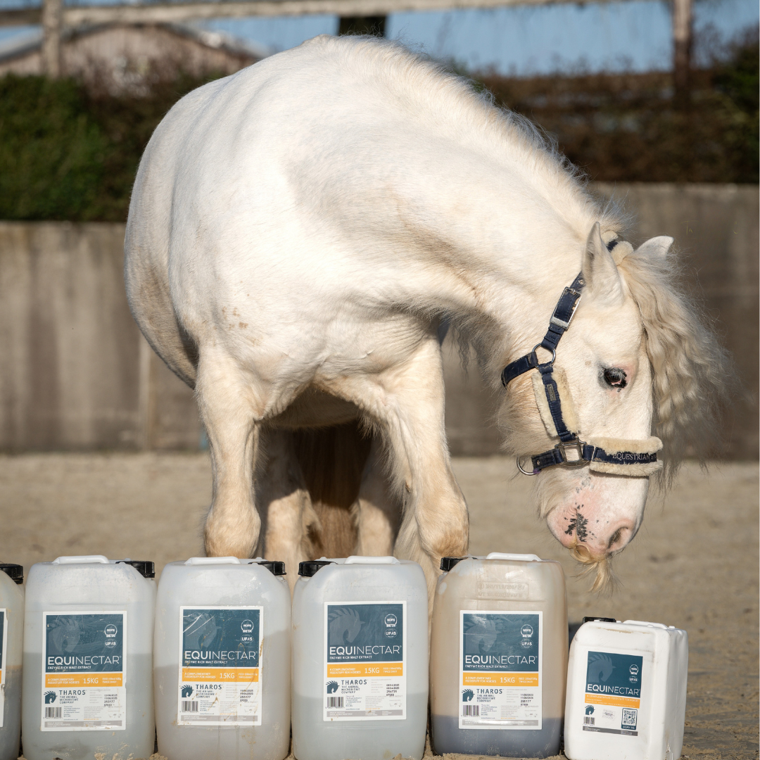 The Magnesium Dilemma: Exploring Unexpected Hyper-Reactivity from a Calming Nutrient