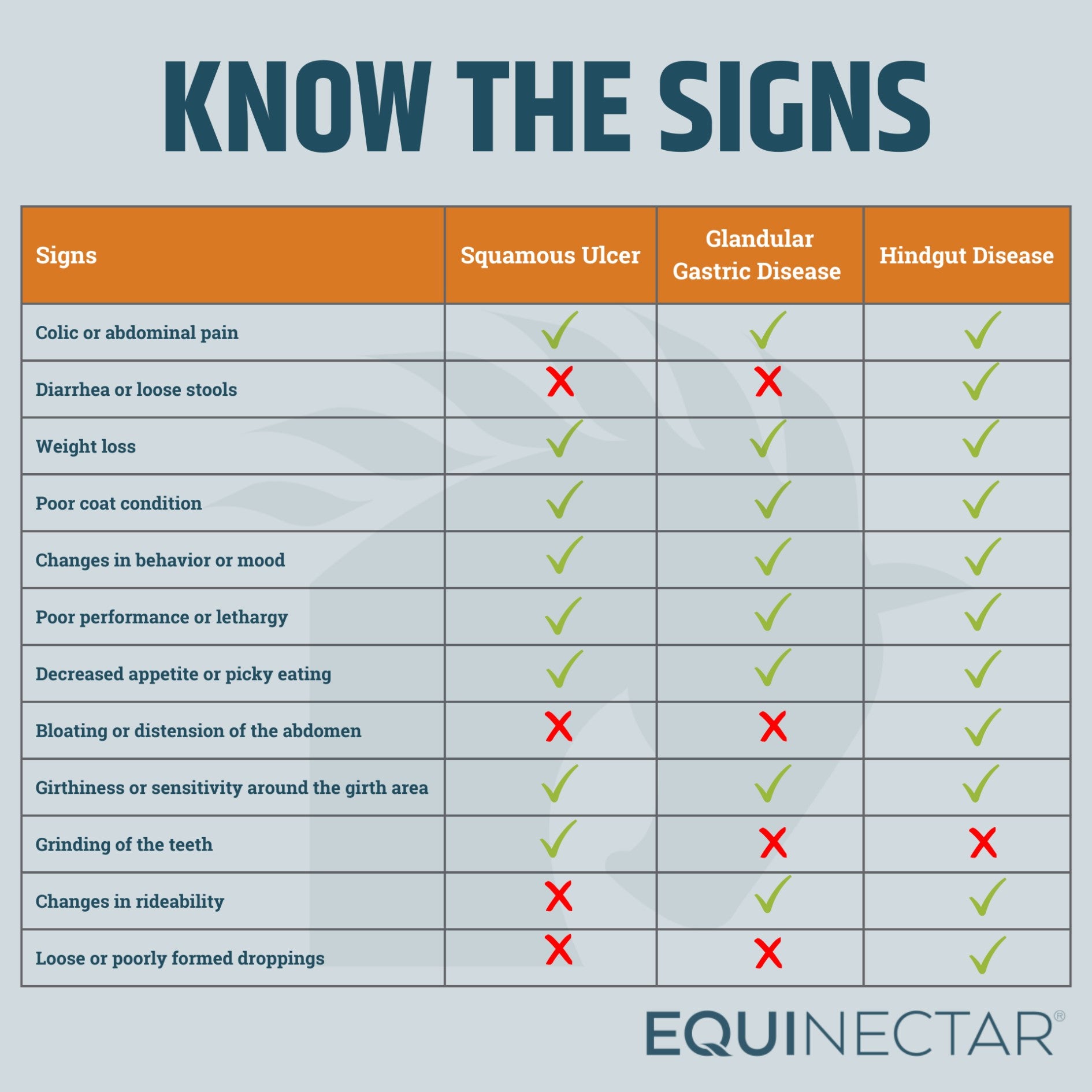 Ulcers or Hindgut Disease? Breaking Down the Connections and Contrasts