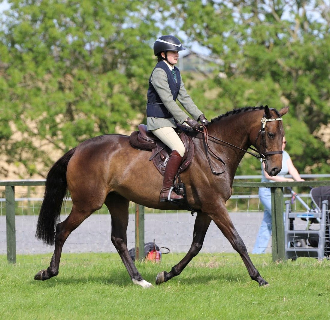 Horse of the week – MABEL