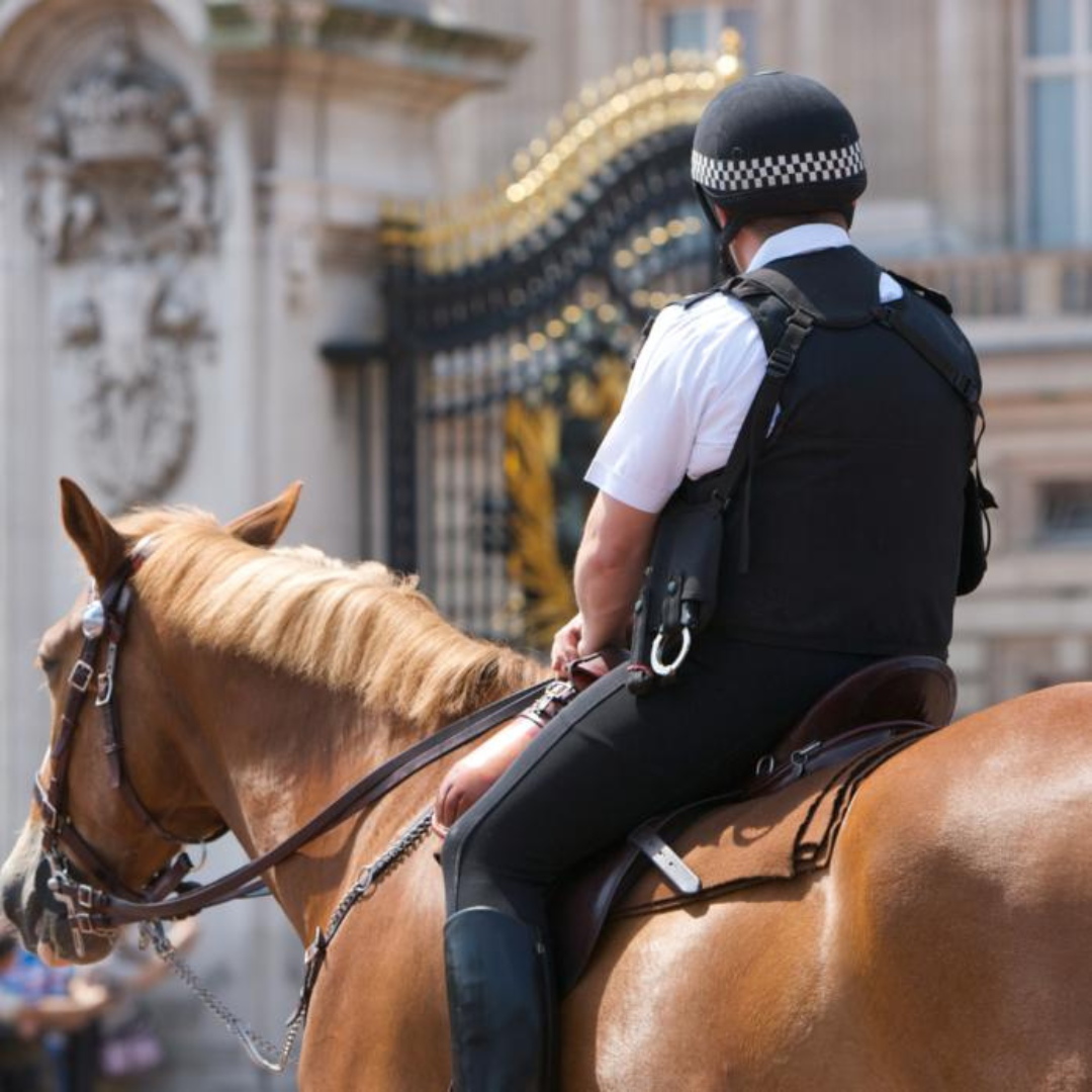 Metropolitan Police Choose EquiNectar® to Optimize Horse Digestion