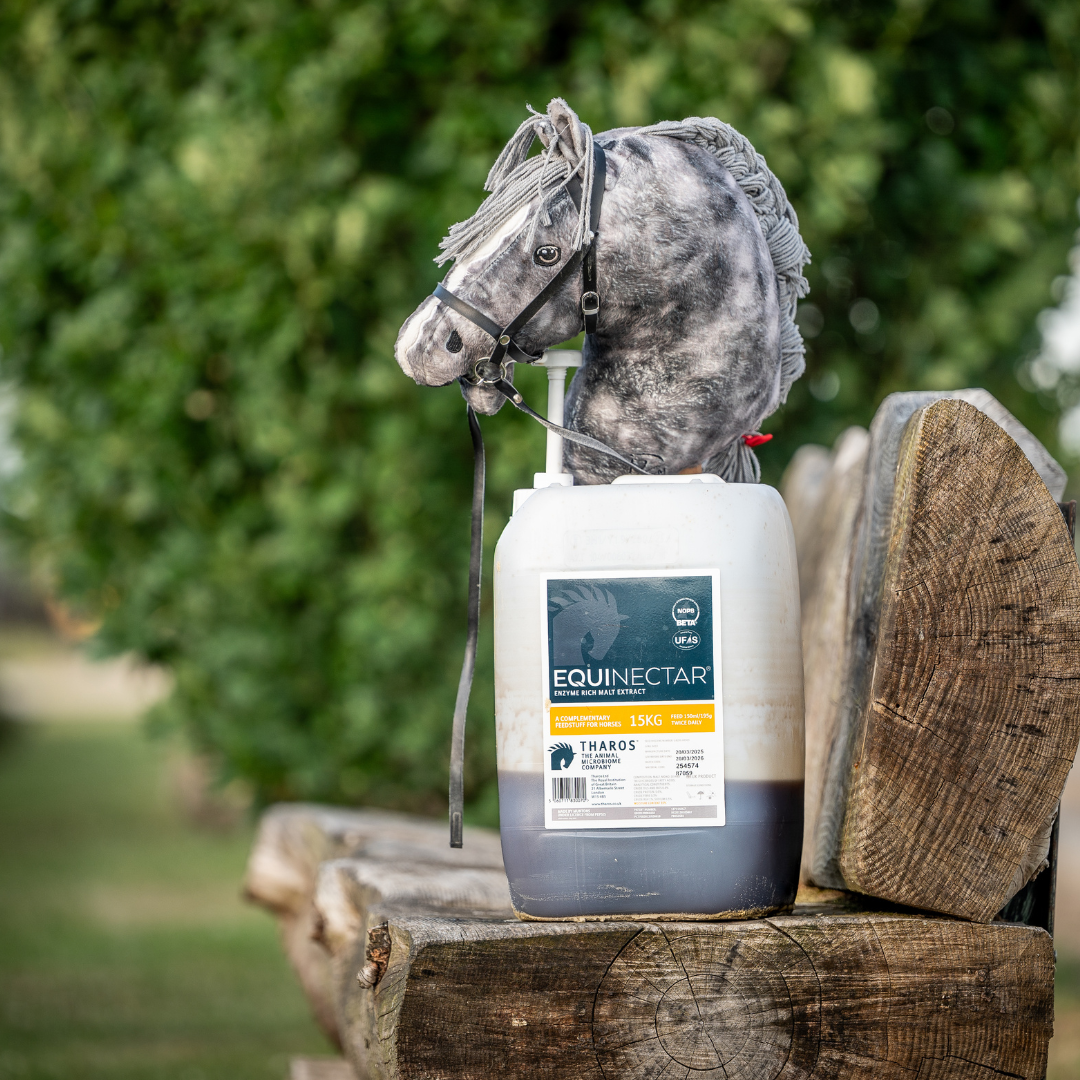 New Peer-Reviewed Study Makes the Molecular Case for Protecting Your Horse's Hindgut