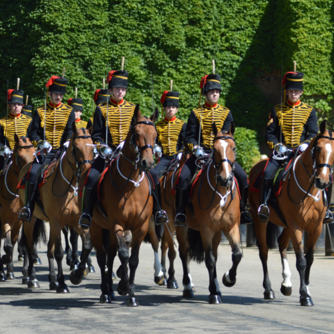 The King’s Troop RHA Partners with EquiNectar® for Enhanced Horse Health