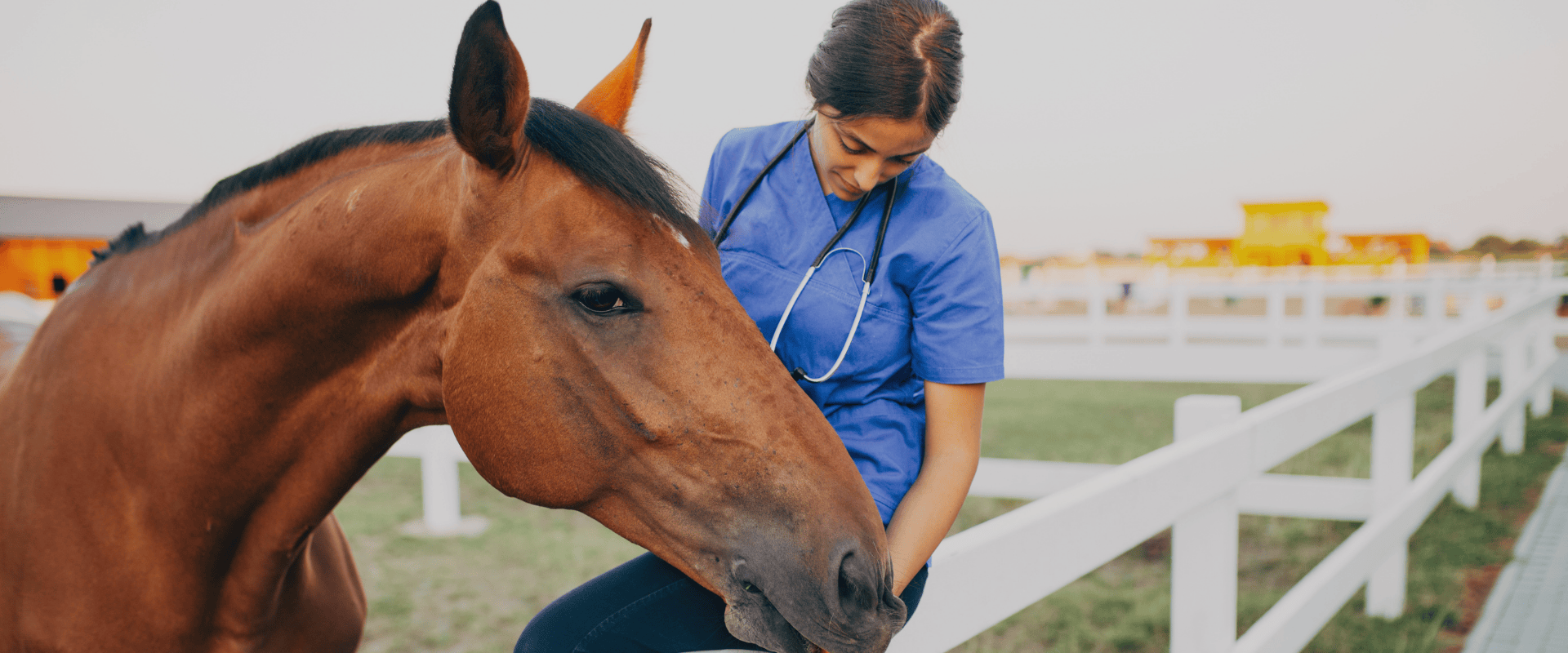 Household Cavalry - why EquiNectar is loved by vets (2).png__PID:fa0a1a2e-8862-4e6f-83e3-e36aa64939a4